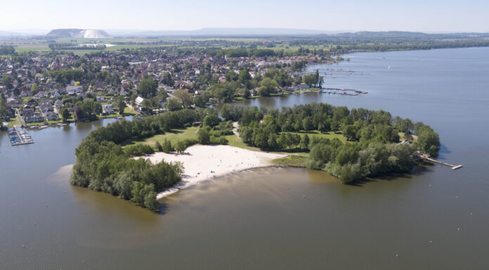Grüne Schätze: Auf Schatzsuche im Naturpark Steinhuder Meer