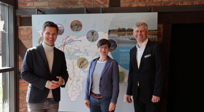 Neue Ausstellung im Naturpark-Infozentrum Steinhude – Interaktive Tafeln zeigen das Leben in Meerbruch und Wald