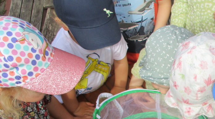 Kleine Biologen und Nachwuchsforscher am Werk – In der Johanniter-Kita Zwergenwelt werden die Kinder Zeuginnen und Zeugen einer zauberhaften Verwandlung