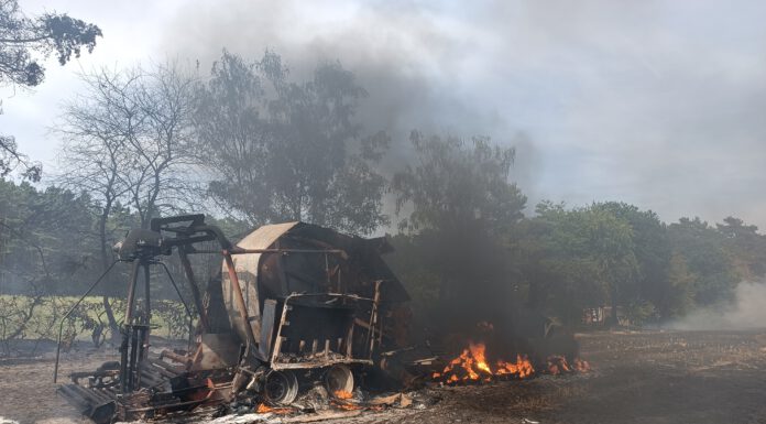 Feuerwehr kämpft mit Großaufgebot gegen Flächen- und Waldbrand in Mardorf