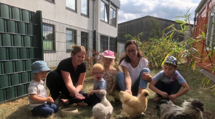 Die Hühner sind los in der Kita Kirschbaum – Johnny, Sonni, Tweety, Henriette und Schneeflöckchen legen Eier in der Kita