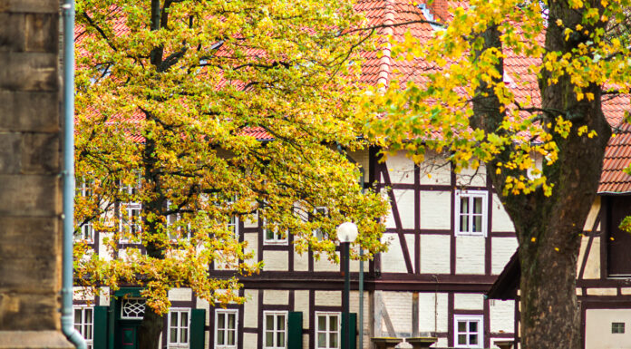 Fotowettbewerb – Wunstorfer Innenstadt sucht die schönsten Herbstbilder