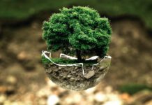 Verlängerte Öffnung der Grünannahme in Großenheidorn