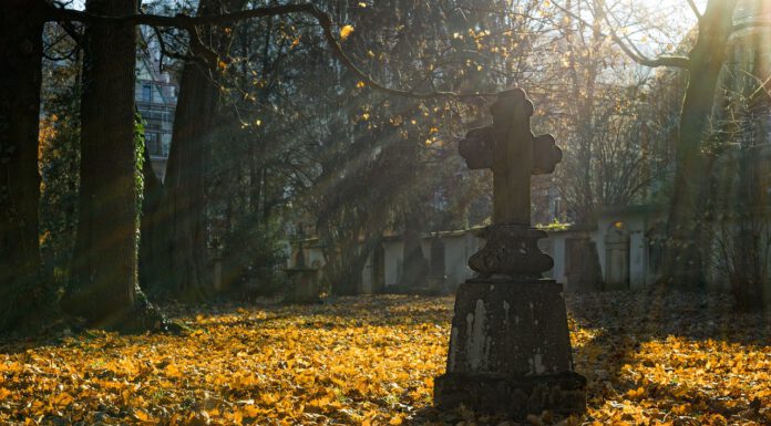 Wunstorf gedenkt der Opfer von Krieg und Gewalt – Veranstaltungen zum Volkstrauertag