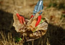 8. Müllsammelaktion „Wunstorf swingt den Besen“ im März 2023 Themenfoto Müllsammelaktion