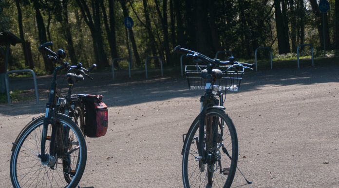 Mit dem Fahrradbus rund ums Steinhuder Meer – regiobus Linie 835 nimmt wieder bis zu 16 Fahrräder mit