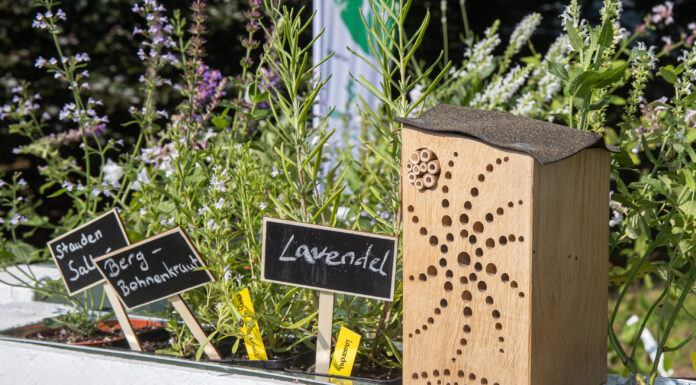 Gärtnern für Vielfalt – Wettbewerb für naturnahe Gärten und Balkone Tiny Green Garten. Foto: © Axel Herzig