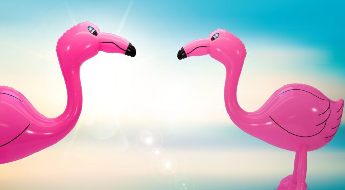 Sommerferien 2023 – Die Jugendpflege der Stadt Wunstorf führt verschiedene Freizeiten und Ferien(s)pass durch