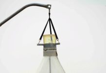 Gefahr für Bienen & Co.: Bremsenfallen in Schutzgebieten verboten Bremsenfalle Quelle Bautsch, CC0, via Wikimedia Commons Foto: Region Hannover