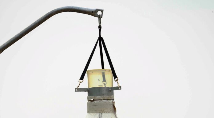 Gefahr für Bienen & Co.: Bremsenfallen in Schutzgebieten verboten Bremsenfalle Quelle Bautsch, CC0, via Wikimedia Commons Foto: Region Hannover