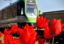 Busse und Bahnen am Pfingstmontag Busse und Bahnen am Pfingstmontag
