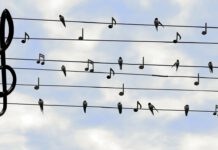 13. Juni 2023: Sommerkonzert des Hölty-Gymnasiums im Stadttheater 13. Juni 2023: Sommerkonzert des Hölty-Gymnasiums im Stadttheater