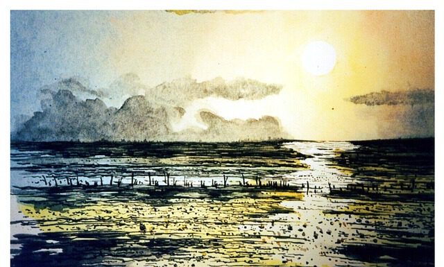 Aquarellmalen am Naturpark Steinhuder Meer – Für Kinder ab 8 Jahren Aquarellmalen am Naturpark Steinhuder Meer. Themenfoto