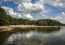 Vermehrtes Aufkommen von Blaualgen am Steinhuder Meer – Vor allem Kinder und Hunde sollten beaufsichtigt werden Vermehrtes Aufkommen von Blaualgen am Steinhuder Meer