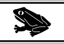 Frühjahrswanderung der Amphibien – Straßensperrungen zum Schutz der Tiere Frühjahrswanderung der Amphibien - Straßensperrungen zum Schutz der Tiere