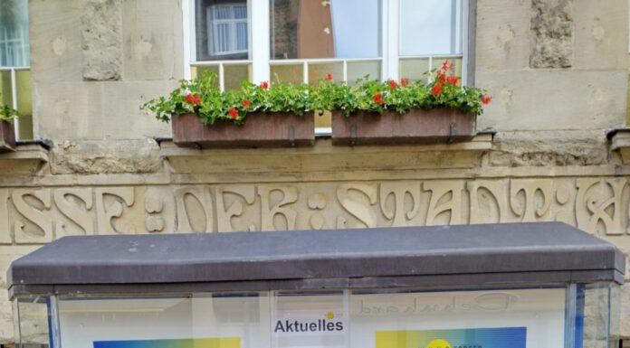 Wunstorf prämiert die schönste Ente 2024 Wunstorf prämiert die schönste Ente 2024