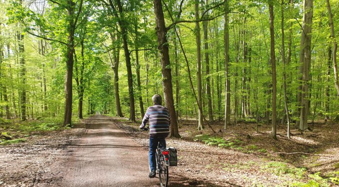 Neue Stadtführungen: Von der Aue ans Meer Neue Stadtführungen: Von der Aue ans Meer