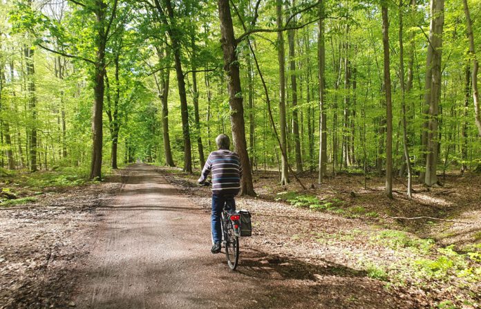 Neue Stadtführungen: Von der Aue ans Meer