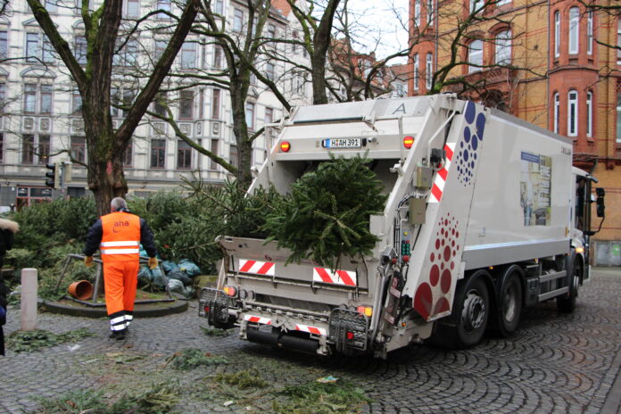 Weihnachtsbäume abholen: So funktioniert es