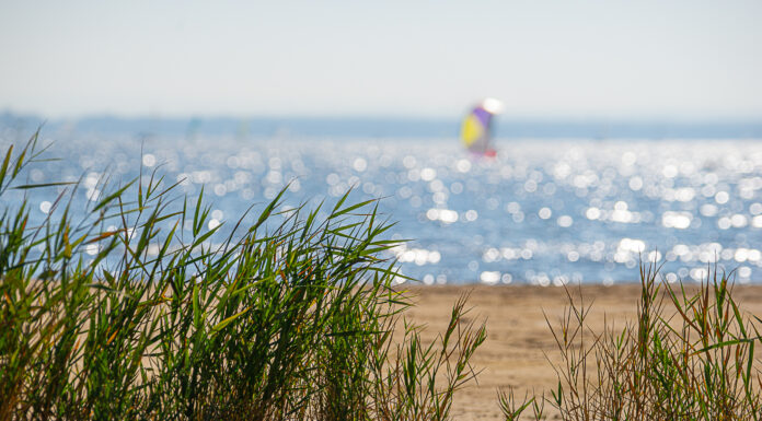 Saisonstart im Naturpark Steinhuder Meer mit abwechslungsreichem Jahresprogramm Ein abwechslungsreiches Jahresprogramm beginnt mit dem Saisonstart im Naturpark Steinhuder Meer. Es bietet zahlreiche Veranstaltungen