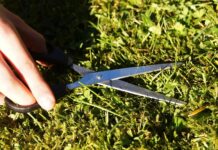 Wiedereröffnung der Grünannehme in Großenheidorn am 19. März 2025 Am 19. März 2025 öffnet die Grünannehme in Großenheidorn wieder für die Anlieferung von Rasenschnitt in Kleinmengen