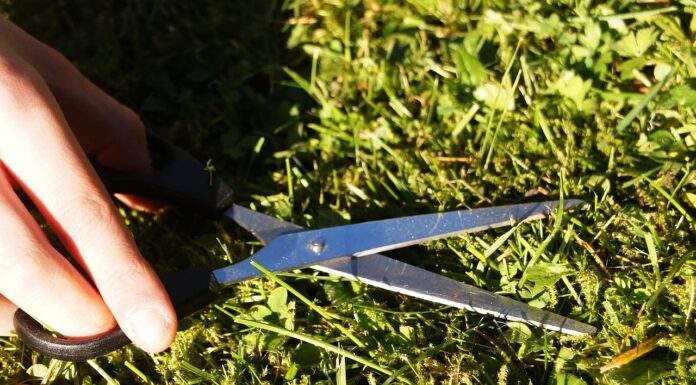 Wiedereröffnung der Grünannehme in Großenheidorn am 19. März 2025 Am 19. März 2025 öffnet die Grünannehme in Großenheidorn wieder für die Anlieferung von Rasenschnitt in Kleinmengen