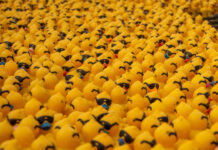 Neubürgerempfang, Matjesessen und Entenrennen in Wunstorf am 14. Juni 2025 Der Neubürgerempfang, Matjesessen und Entenrennen in Wunstorf am 14. Juni 2025 verspricht ein abwechslungsreiches Programm für alle