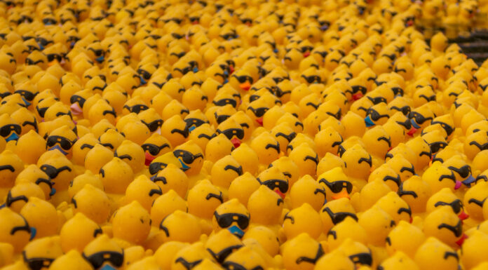 Neubürgerempfang, Matjesessen und Entenrennen in Wunstorf am 14. Juni 2025 Der Neubürgerempfang, Matjesessen und Entenrennen in Wunstorf am 14. Juni 2025 verspricht ein abwechslungsreiches Programm für alle