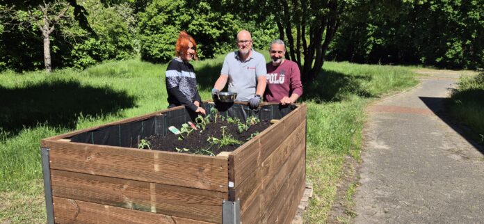 Das Hochbeet-Projekt fördert Integration und Gemeinschaft in Wunstorf und stärkt den Zusammenhalt unter den Bewohnern