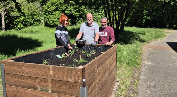 Hochbeet-Projekt fördert Integration und Gemeinschaft in Wunstorf Das Hochbeet-Projekt fördert Integration und Gemeinschaft in Wunstorf und stärkt den Zusammenhalt unter den Bewohnern