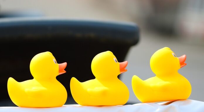 Neubürgerempfang und Entenrennen in Wunstorf: Ein Fest für alle Bürger In Wunstorf findet der Neubürgerempfang und Entenrennen statt. Ein Fest für alle Bürger mit vielfältigem Programm