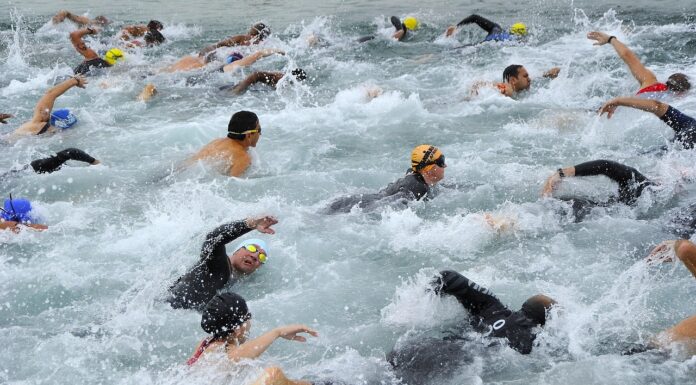 Steinhuder Meer Triathlon 2025: Sportliches Highlight und geänderte Verkehrsführung Der Steinhuder Meer Triathlon 2025 verspricht ein sportliches Highlight mit. Bitte geänderte Verkehrsführung beachten