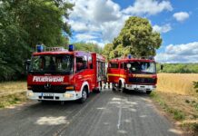 Die Flächenbrände im Stadtgebiet Wunstorf wurden erfolgreich bekämpft. Feuerwehrkräfte verhinderten die Ausbreitung im Bereich „Hohes Holz“