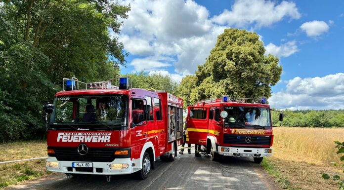 Mehrere Flächenbrände in Wunstorf – Feuerwehren verhindern Ausbreitung im Bereich „Hohes Holz“ Die Flächenbrände im Stadtgebiet Wunstorf wurden erfolgreich bekämpft. Feuerwehrkräfte verhinderten die Ausbreitung im Bereich „Hohes Holz“