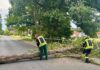 Die Stadtfeuerwehr Wunstorf hatte am 2. Juli sechs Einsätze bei Hitze und Sturm