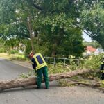 Sechs Einsätze für die Feuerwehr Wunstorf bei Hitze und Sturm Die Stadtfeuerwehr Wunstorf hatte am 2. Juli sechs Einsätze bei Hitze und Sturm