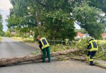 Die Stadtfeuerwehr Wunstorf hatte am 2. Juli sechs Einsätze bei Hitze und Sturm