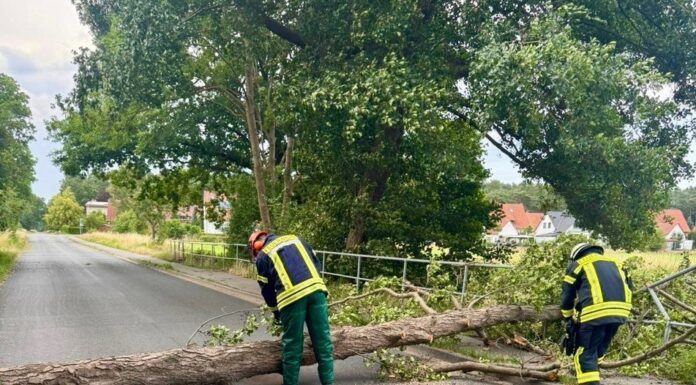 Sechs Einsätze für die Feuerwehr Wunstorf bei Hitze und Sturm Die Stadtfeuerwehr Wunstorf hatte am 2. Juli sechs Einsätze bei Hitze und Sturm