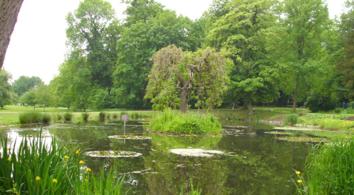 Faszinierende Sagen und Gruselgeschichten in der Leinemasch erleben Die Veranstaltung bietet faszinierende Sagen und Gruselgeschichten in der Leinemasch. Eine Anmeldung ist erforderlich