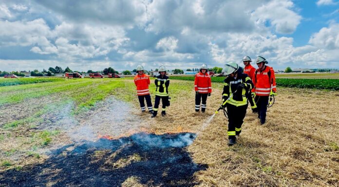 Stadtfeuerwehr Wunstorf trainiert Vegetationsbrandbekämpfung für alle Ortsfeuerwehren Die Ausbildung zur Vegetationsbrandbekämpfung für alle Ortsfeuerwehren zeigt die Initiative zur Verbesserung der Feuerwehr-Ausstattung
