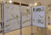 Öffentliche Ausstellung zeigt Wettbewerbsergebnisse zur Innenstadtgestaltung Öffentliche Ausstellung zeigt Wettbewerbsergebnisse zur Innenstadtgestaltung und bietet direkten Kontakt zu Stadtbaurat Wollny