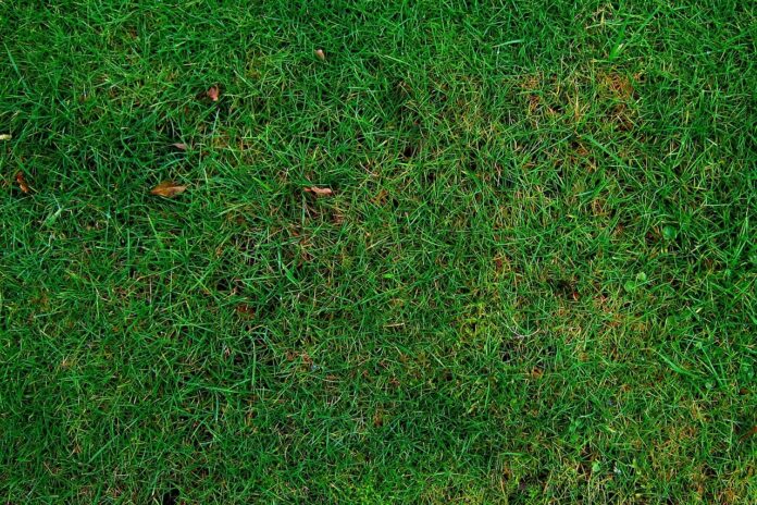 Die Grünannahmestelle in Großenheidorn wird bald geschlossen Die Schließung der Grünannahmestelle in Großenheidorn steht bevor und verändert die Anlieferungsmöglichkeiten