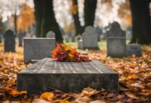 Gedenkfeiern zum Volkstrauertag: Erinnern an Krieg, Gewalt und Verfolgung Am Volkstrauertag wird an Krieg, Gewalt und Verfolgung erinnert. Gedenkfeiern in Wunstorf und Umgebung am 16. November 2025