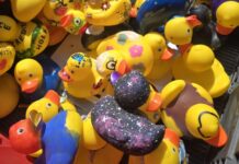 Entenrennen am 20.06.2026 – Entenverkauf auch auf dem Wochenmarkt in Wunstorf Entenverkauf auch auf Wochenmarkt in Wunstorf: Am 22. Mai 2026 gibt es vor dem Rathaus Rennenten im Vorverkauf für 3 Euro