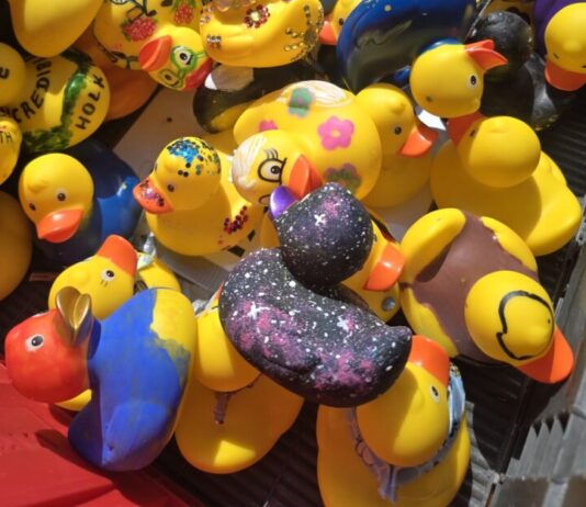 Entenrennen am 20.06.2026 – Entenverkauf auch auf dem Wochenmarkt in Wunstorf Entenverkauf auch auf Wochenmarkt in Wunstorf: Am 22. Mai 2026 gibt es vor dem Rathaus Rennenten im Vorverkauf für 3 Euro