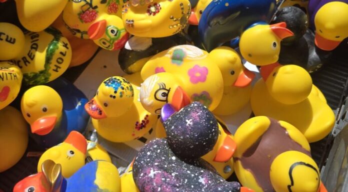 Entenrennen am 20.06.2026 – Entenverkauf auch auf dem Wochenmarkt in Wunstorf Entenverkauf auch auf Wochenmarkt in Wunstorf: Am 22. Mai 2026 gibt es vor dem Rathaus Rennenten im Vorverkauf für 3 Euro