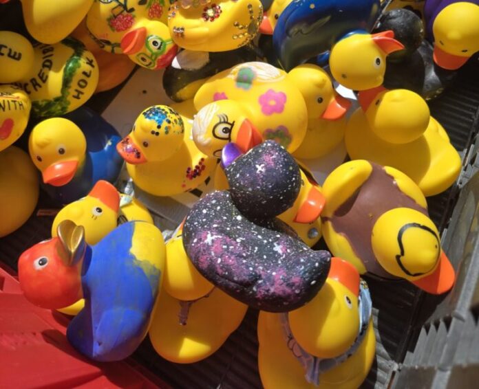 Entenverkauf auch auf dem Wochenmarkt in Wunstorf Entenverkauf auch auf Wochenmarkt in Wunstorf: Am 22. Mai 2026 gibt es vor dem Rathaus Rennenten im Vorverkauf für 3 Euro