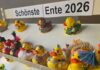 Die schönsten Enten in Wunstorf in der Südstraße Die schönsten Enten in Wunstorf sind in der Südstraße 3 zu sehen. 63 Rennenten stehen im Schaufenster, abgestimmt wird bis 20. Juni